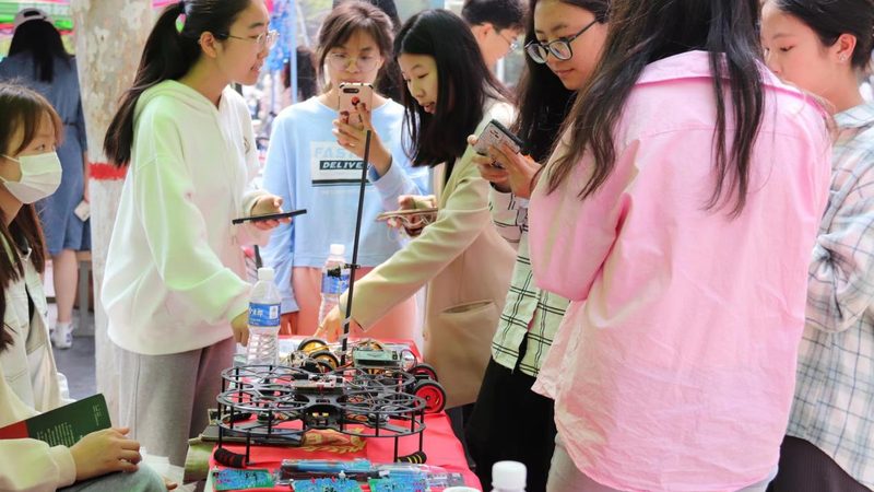 动态图表制作：关键步骤与注意事项解析