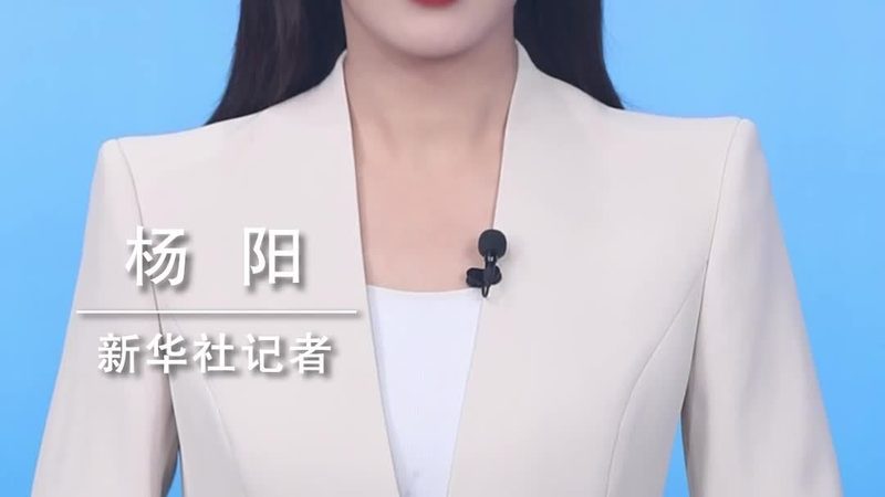 Terraform 厂商的技术实力如何评估